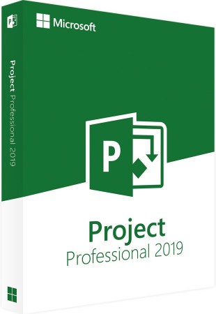 Microsoft Project Professional 2019